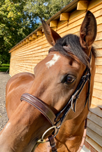 Load image into Gallery viewer, OUTLET Hunter Organic Tanned Bridle - Brown