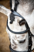 Load image into Gallery viewer, OUTLET Hunter Organic Tanned Bridle - Black