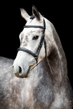 Load image into Gallery viewer, OUTLET Hunter Organic Tanned Bridle - Black
