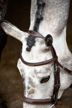 Load image into Gallery viewer, OUTLET Hunter Organic Tanned Bridle - Brown