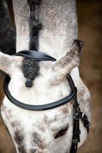Load image into Gallery viewer, OUTLET Hunter Organic Tanned Bridle - Black
