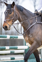 Load image into Gallery viewer, OUTLET Lyon Fig-8 Organic Tanned Bridle - Brown