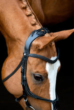 Load image into Gallery viewer, OUTLET Anatomic Adapt Headpiece - Black/Cream