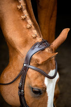 Load image into Gallery viewer, OUTLET Lyon Fig-8 Organic Tanned Bridle - Brown