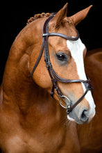 Load image into Gallery viewer, OUTLET Lyon Fig-8 Organic Tanned Bridle - Brown