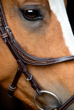 Load image into Gallery viewer, OUTLET Lyon Fig-8 Organic Tanned Bridle - Brown