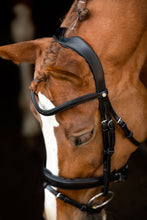 Load image into Gallery viewer, OUTLET Normandie Organic Tanned Bridle - Black