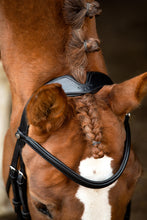 Load image into Gallery viewer, OUTLET Normandie Organic Tanned Bridle - Black