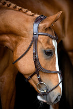 Load image into Gallery viewer, Lyon Fig-8 Organic Tanned Bridle - Brown
