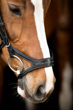 Load image into Gallery viewer, Excellence Organic Tanned Bridle - Black
