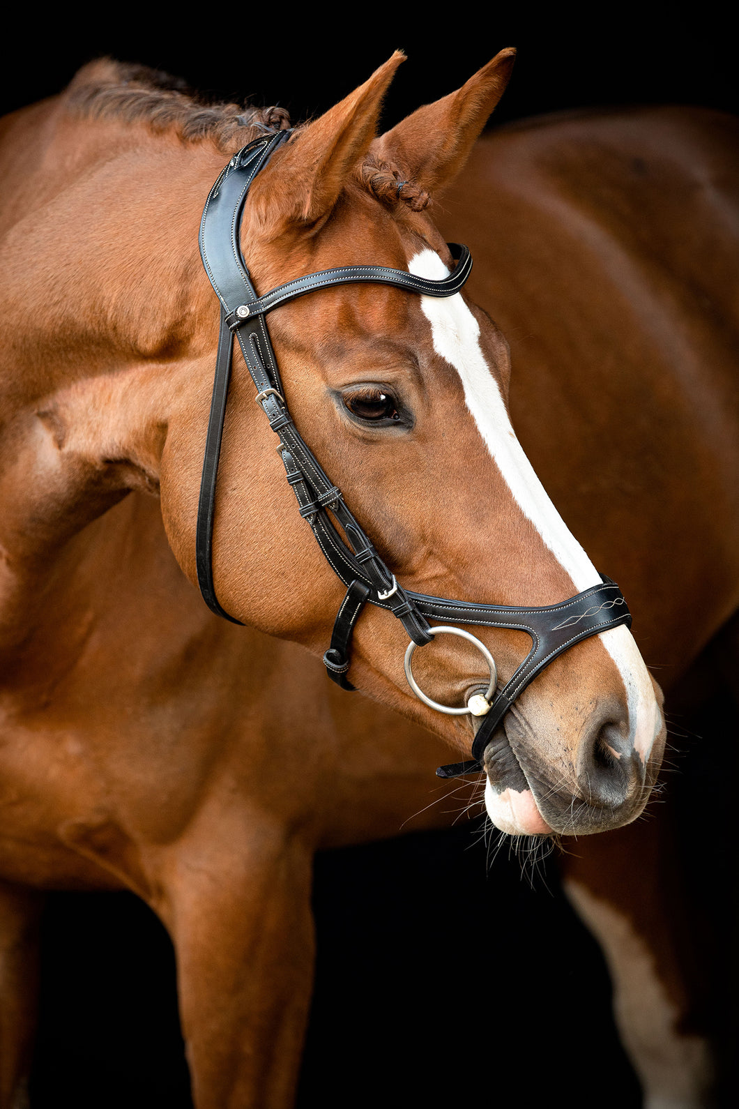 US Excellence Organic Tanned Bridle - Black