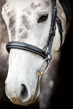 Load image into Gallery viewer, Hunter Organic Tanned Bridle - Black
