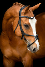 Load image into Gallery viewer, Lyon Fig-8 Organic Tanned Bridle - Black
