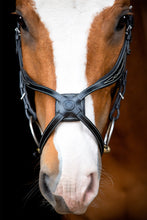 Load image into Gallery viewer, Lyon Fig-8 Organic Tanned Bridle - Black
