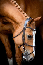 Load image into Gallery viewer, Lyon Fig-8 Organic Tanned Bridle - Brown
