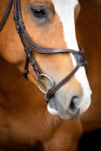 Load image into Gallery viewer, Lyon Fig-8 Noseband - Brown
