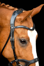 Load image into Gallery viewer, Monarch Organic Tanned Bridle - Black

