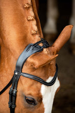 Load image into Gallery viewer, Monarch Organic Tanned Bridle - Black
