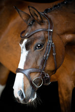 Load image into Gallery viewer, Monarch Organic Tanned Bridle - Brown
