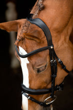 Load image into Gallery viewer, Classic Curved Leather Browband - Black
